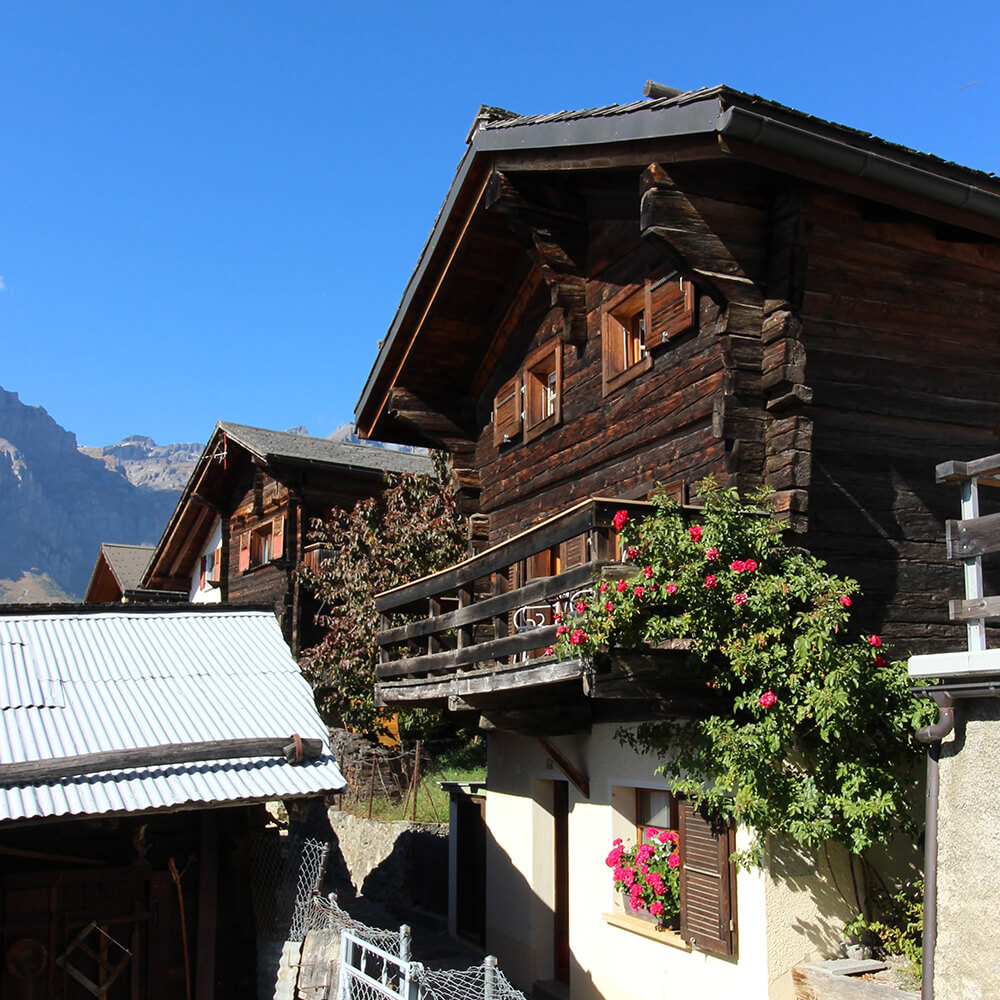 godswaergji-hues_1_1000x1000 godswaergji-hues_1_1000x1000